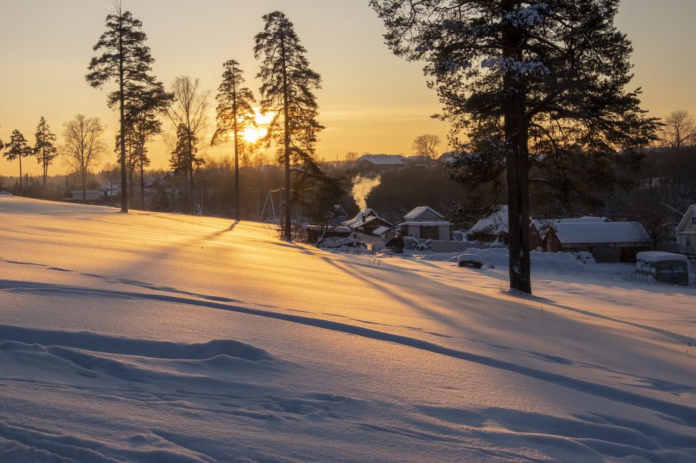 Фотография автора Наталья Липовская