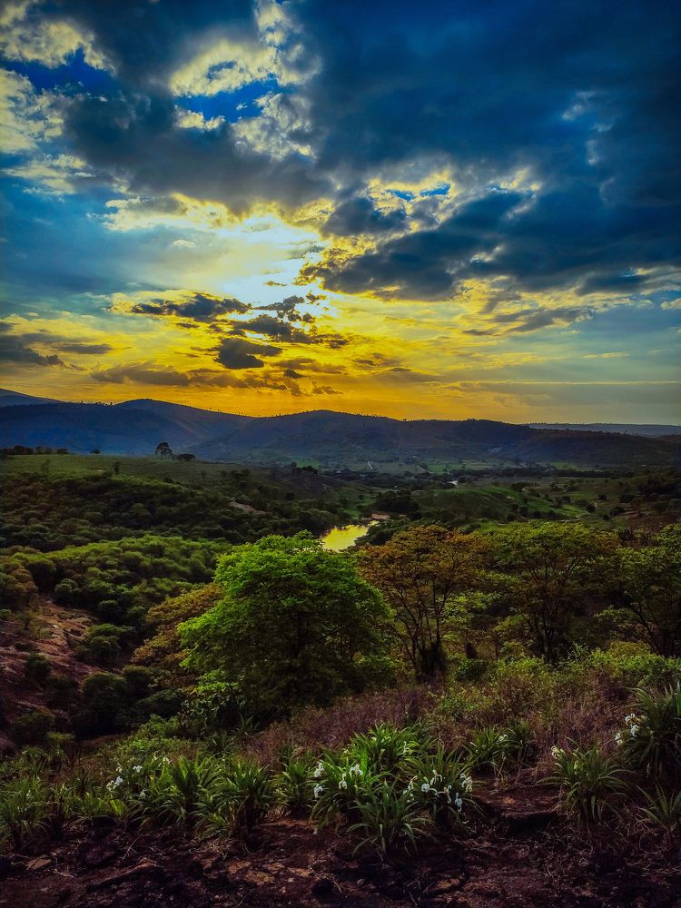 Nature Landscape