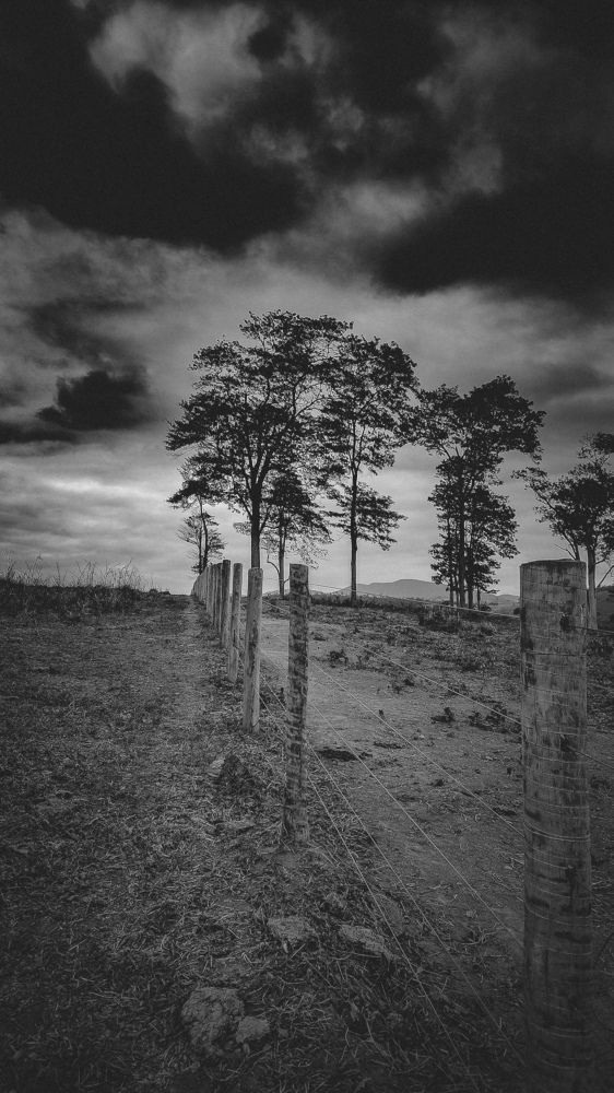Photograph by Silvestre Seletes