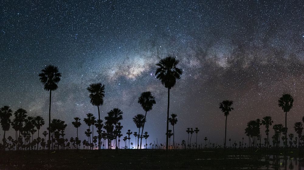 Coronada de Estrellas