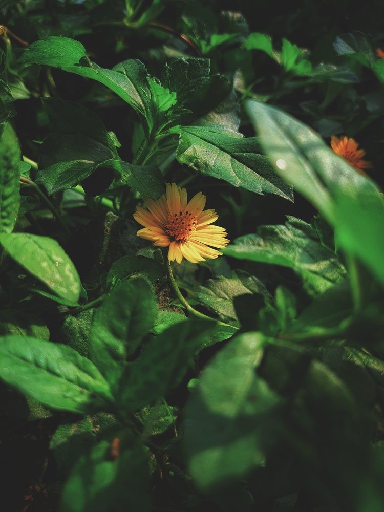 Photograph by Masaba Masud Mina