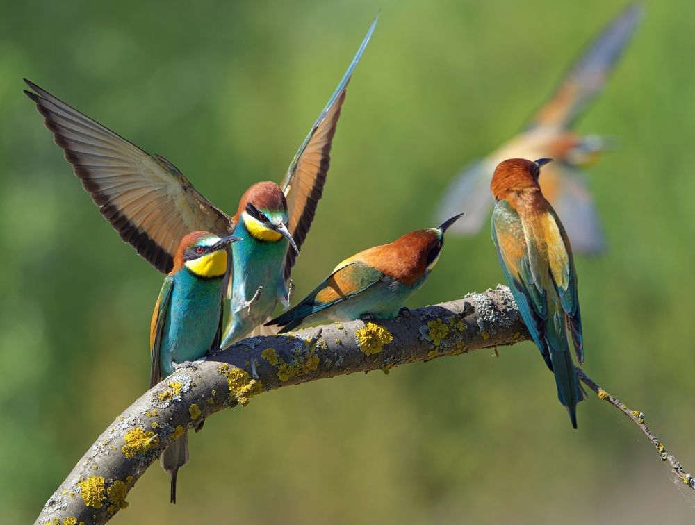 Photograph by Олег Есиков