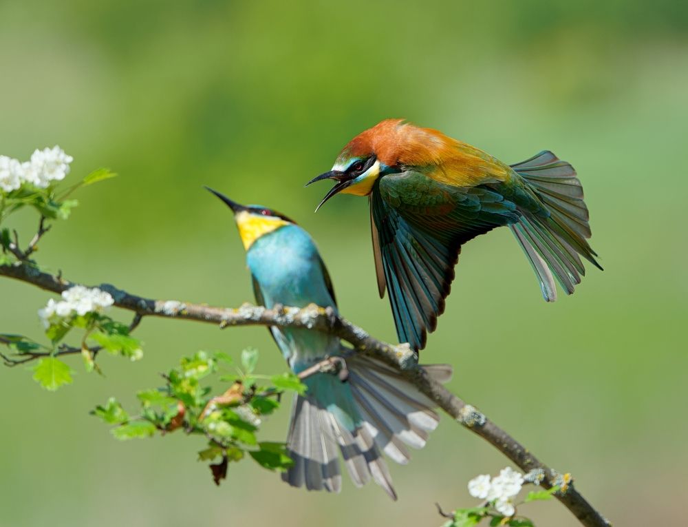 Photograph by Олег Есиков