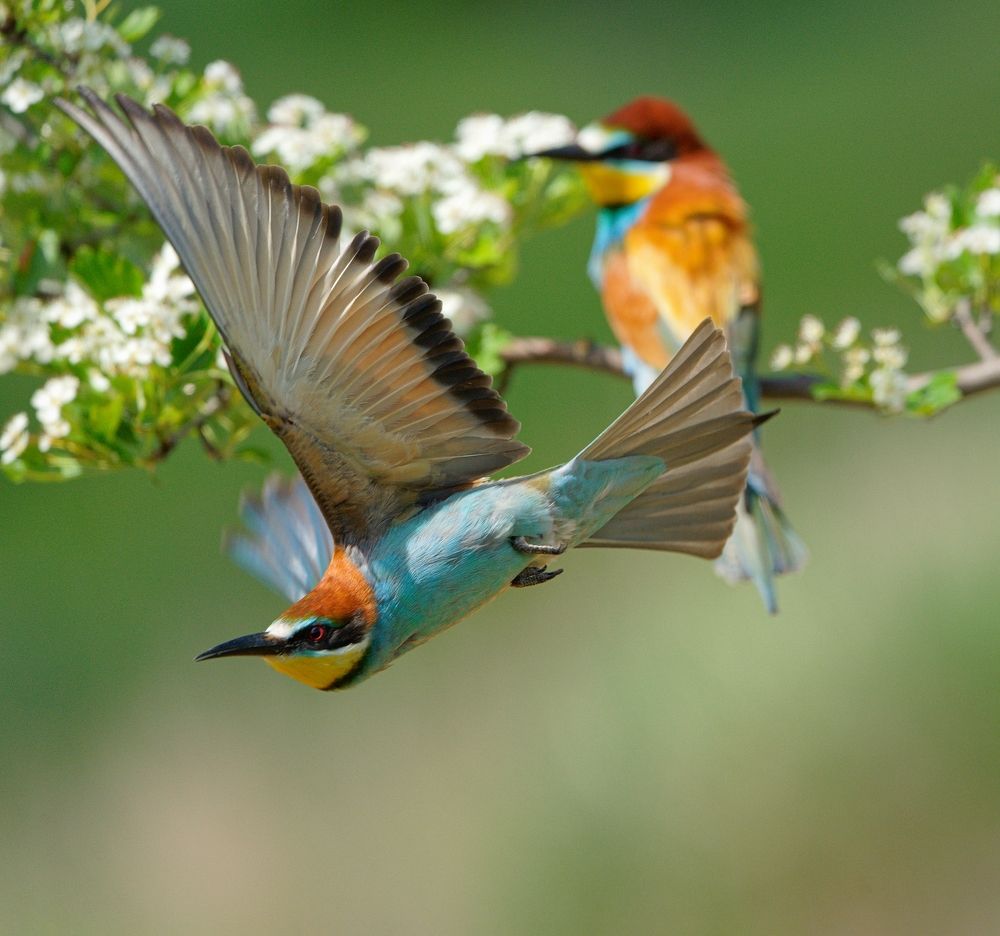 Photograph by Олег Есиков