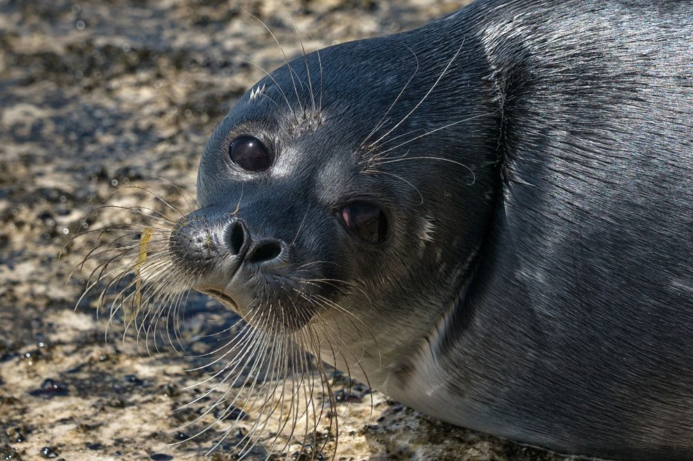 Photograph by Регина Иванова