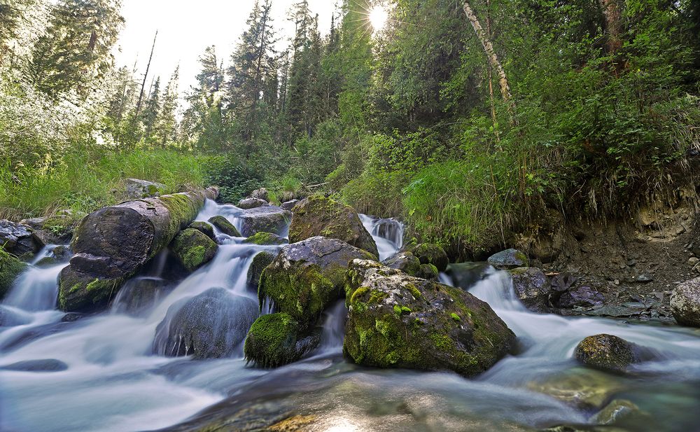 Живая вода...