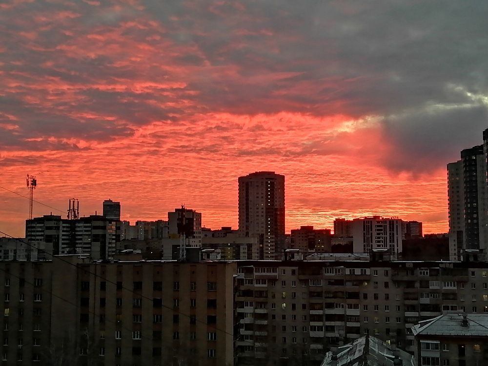 Photograph by Чкареули Светлана