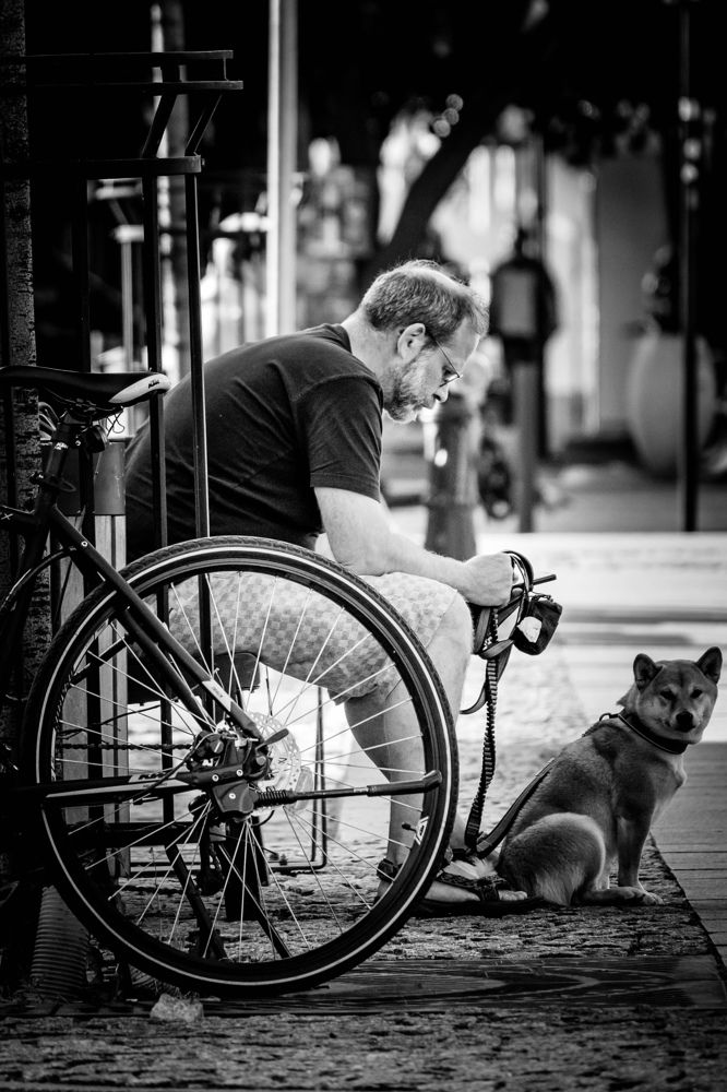 Твой друг всегда рядом