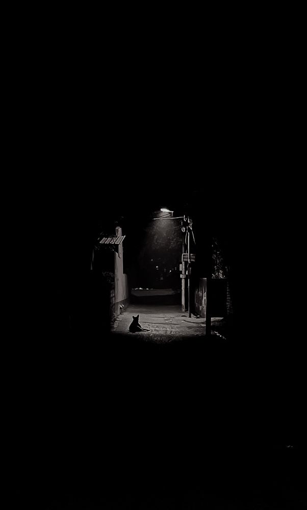 Photograph by Mainak Bagchi