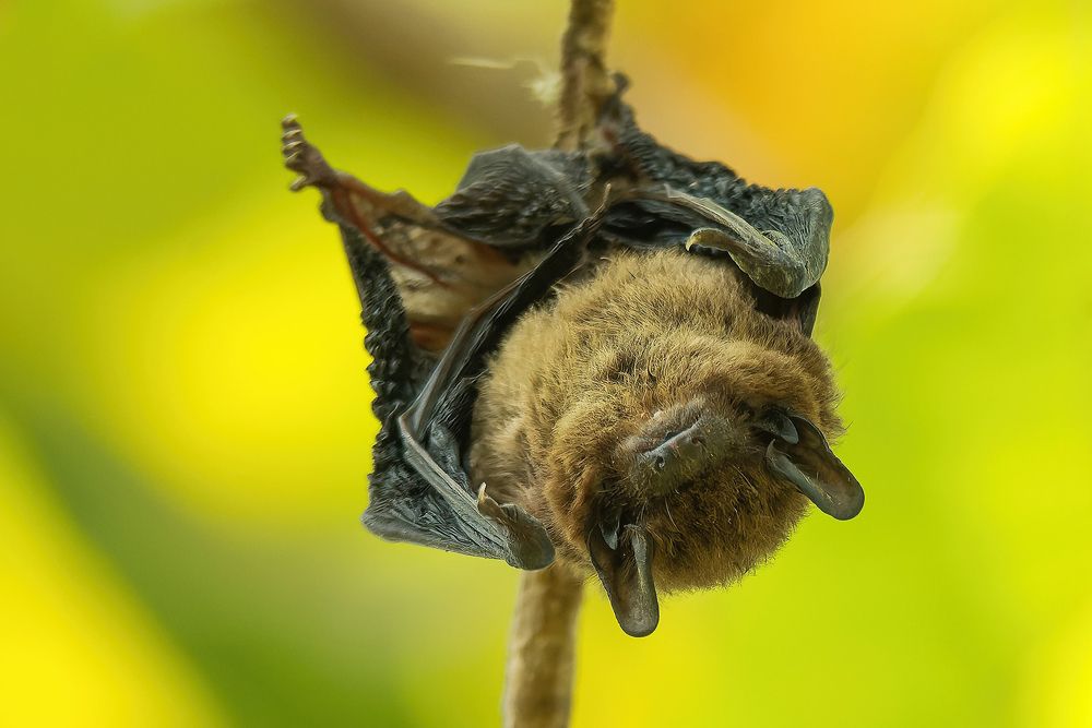 Photograph by Toan Dinh