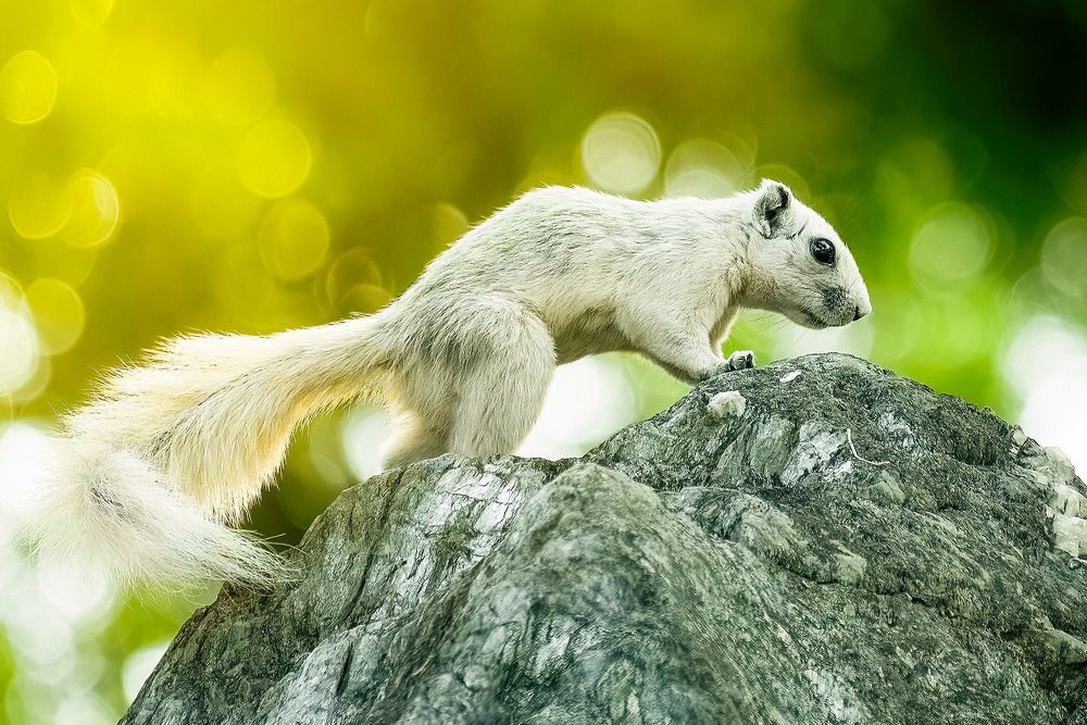 Фотография автора Toan Dinh