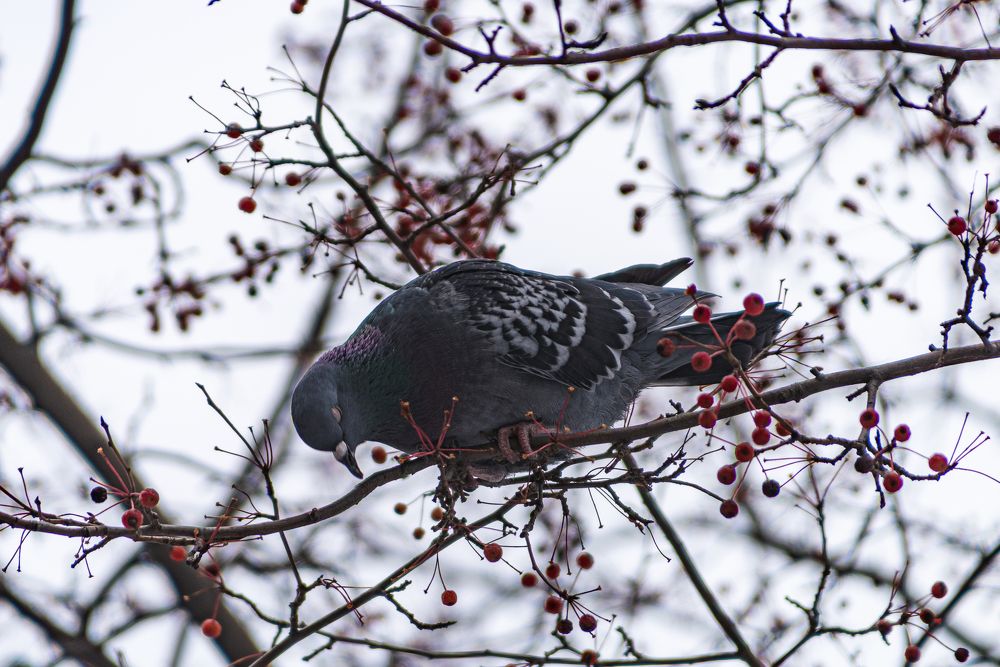 Photograph by Кирилл Шарапов