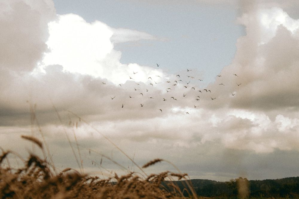 Photograph by Валентина Лугачева