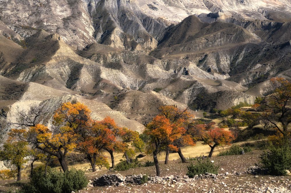 Фотография автора Регина Иванова