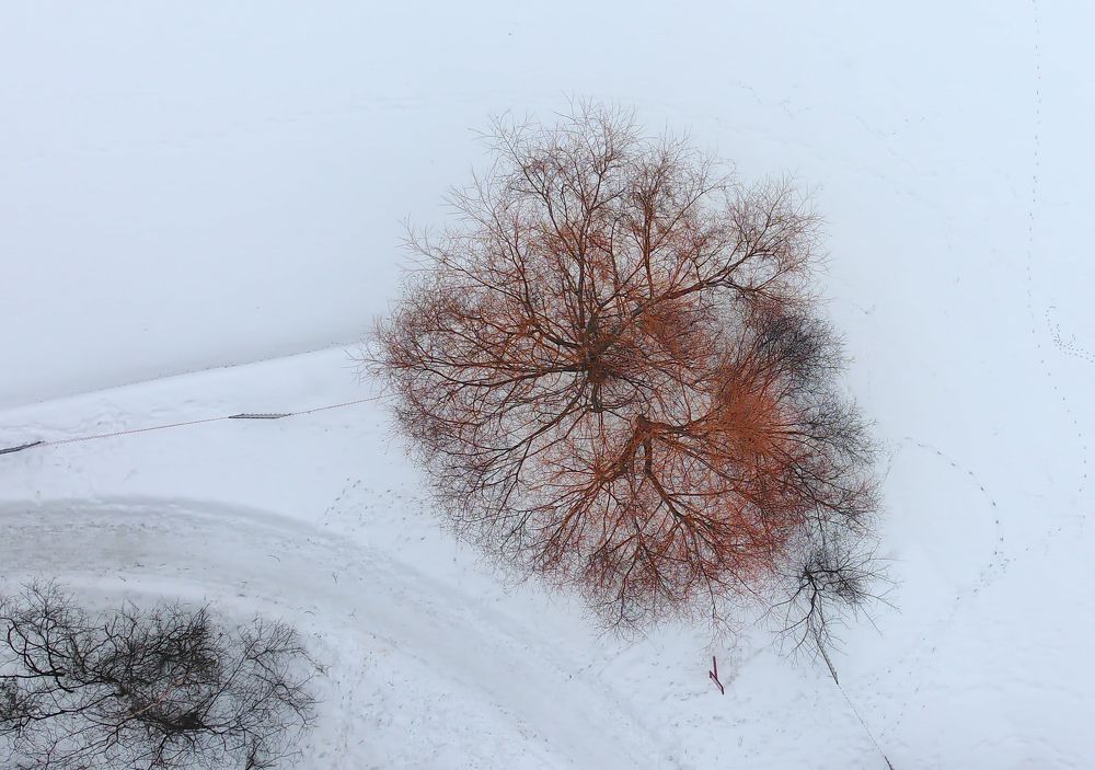 Photograph by Владислав Кравцов