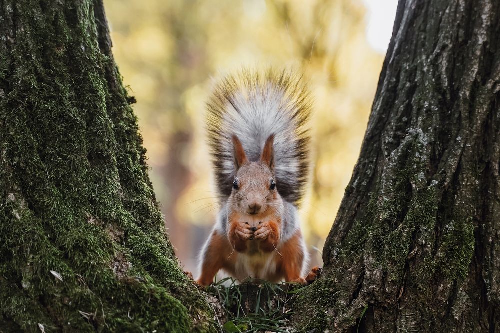 Глаза в глаза