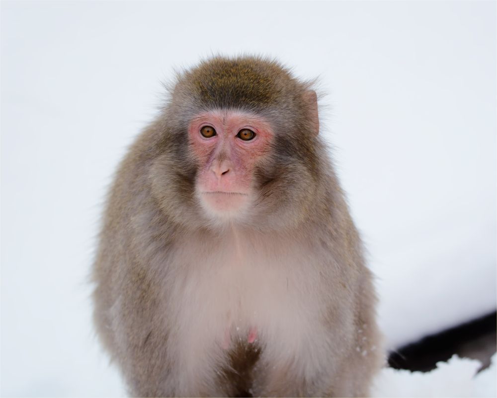 Photograph by Владислав Кравцов