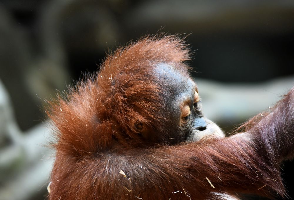 Photograph by Владислав Кравцов