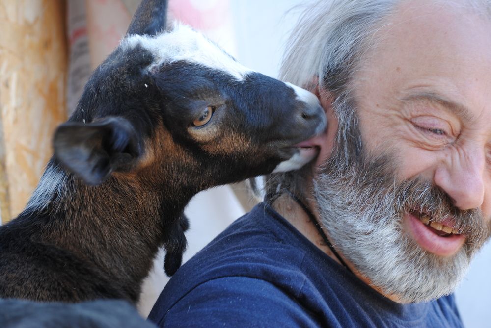 Photograph by Анна Архангельская