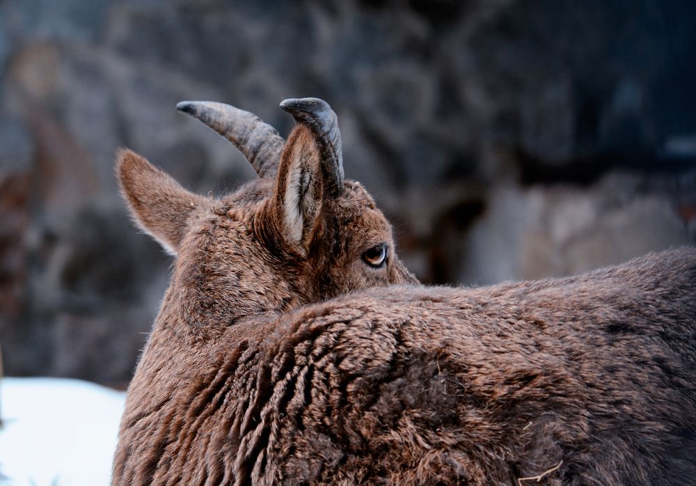 Photograph by Владислав Кравцов