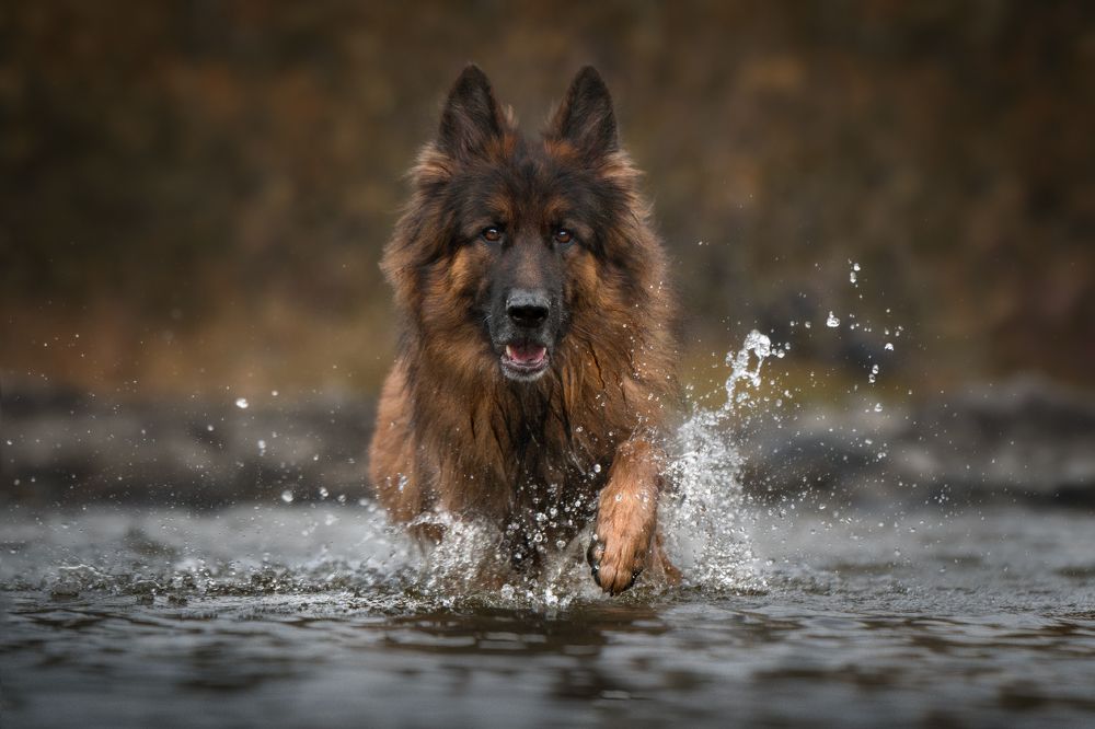Фотография автора Рудченко Ольга