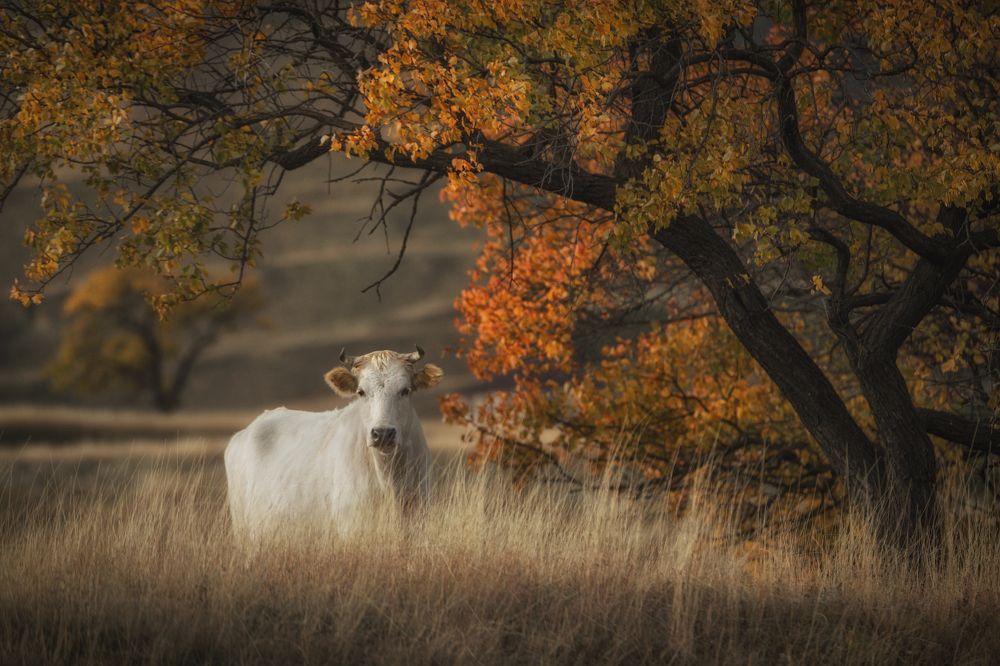 Фотография автора Рудченко Ольга