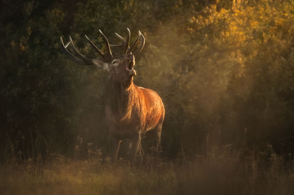 Фотография автора Рудченко Ольга