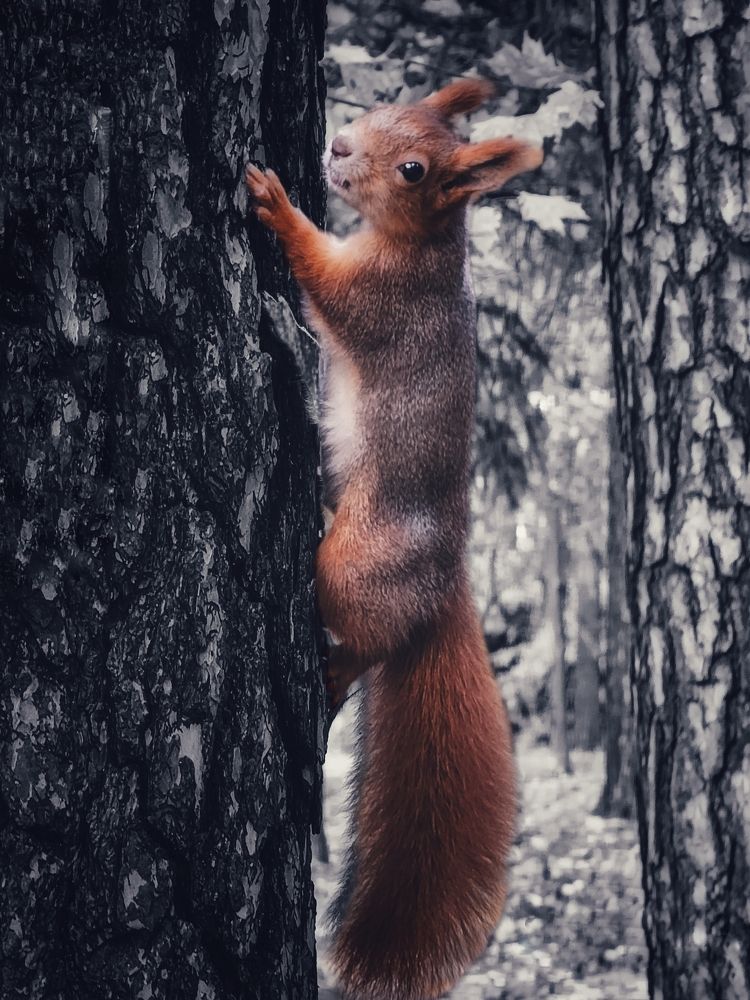 Photograph by Елена Ямнюк