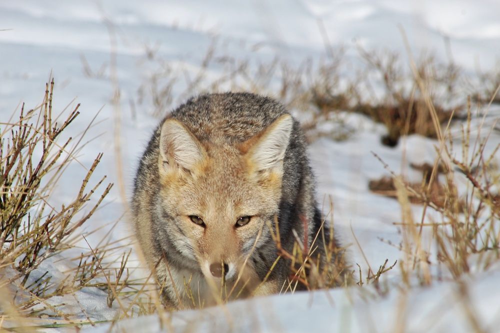 Photo #9911809