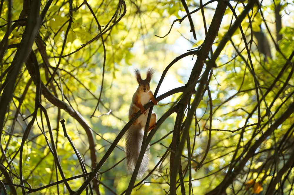 Photograph by Надежда Бехер