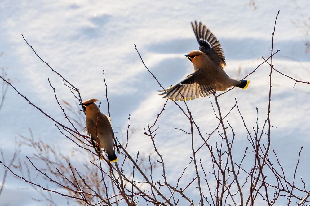Photograph by Евгений Наймушин