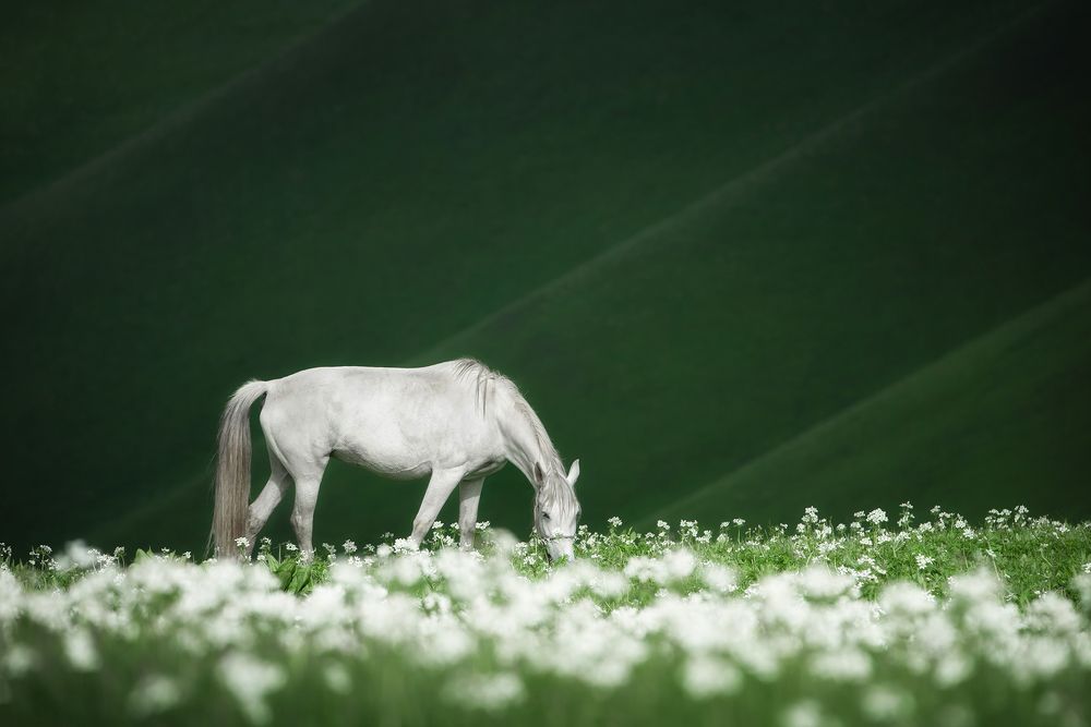 Фотография автора Рудченко Ольга