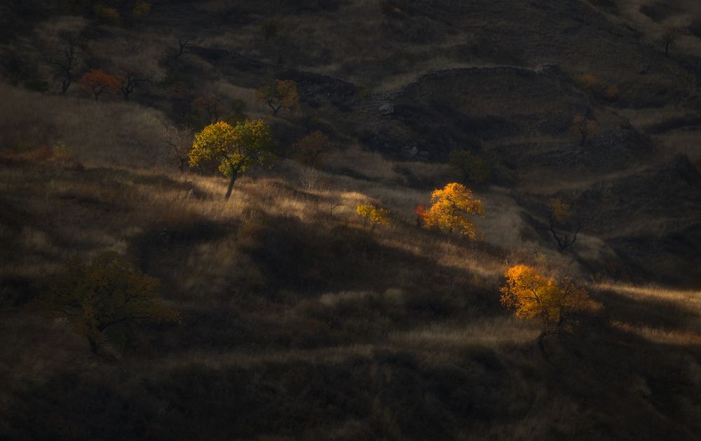 Фотография автора Рудченко Ольга