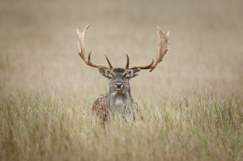 Фотография автора Рудченко Ольга