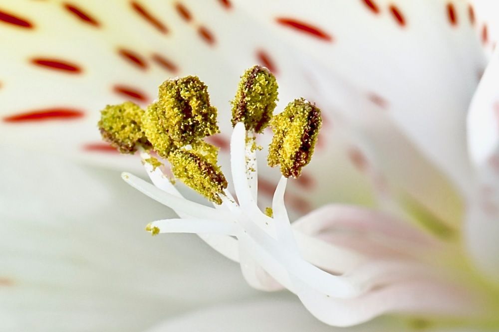 Photograph by Юлия Мартова