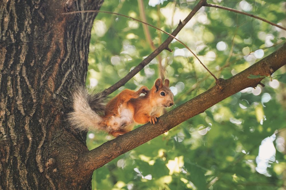 Зачесалось...