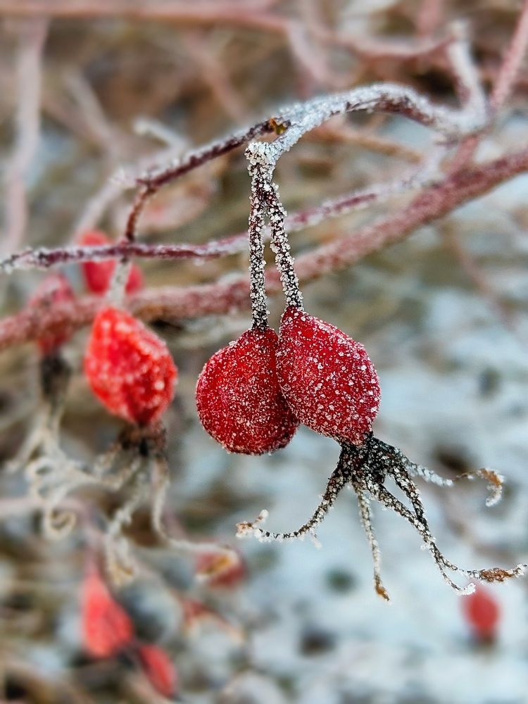 Photograph by Юлия Еганова