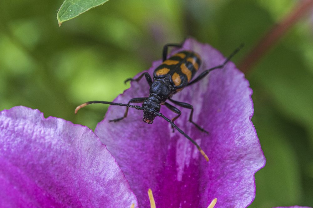 Photograph by Надежда Михайлина