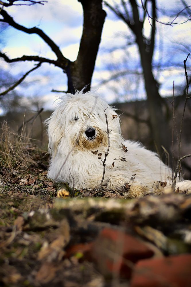 Photograph by Cергей Землянский