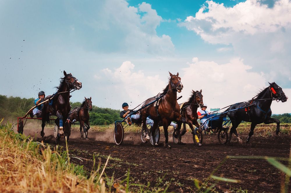 Photograph by Екатерина Карпова