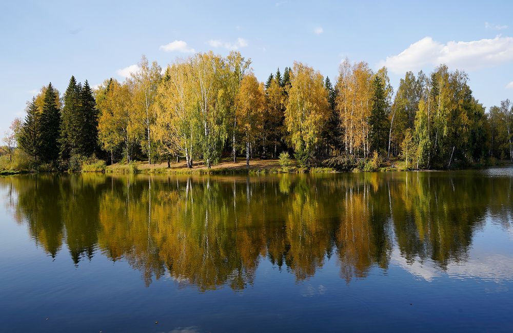 Отражение осени