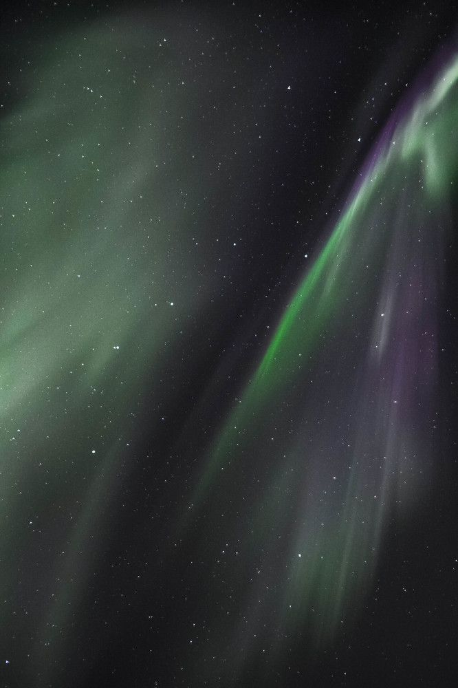 Крылатая Медведица