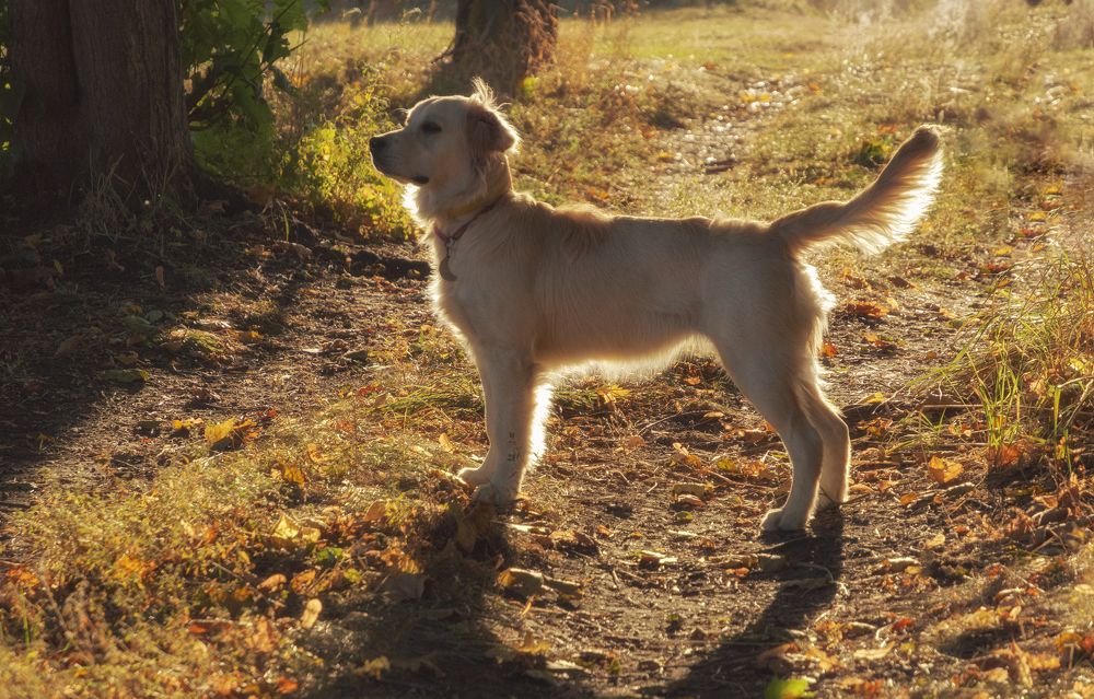 Photograph by Светлана Мельник