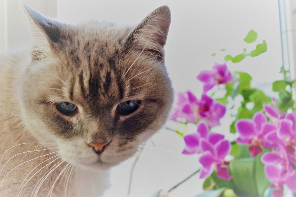 Photograph by Ения Семина