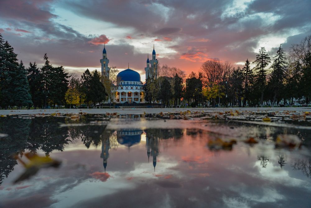 Photograph by Рената Митрова