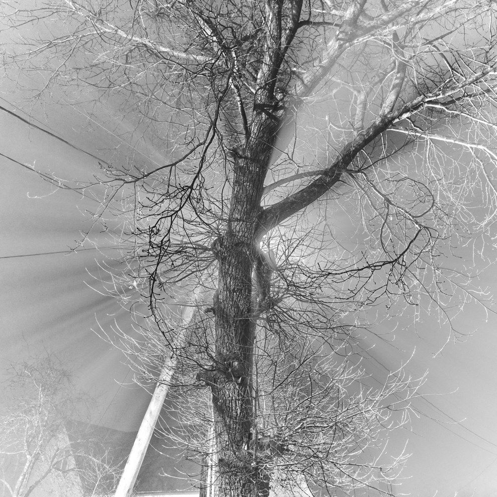 Photograph by Игорь Зиновьев