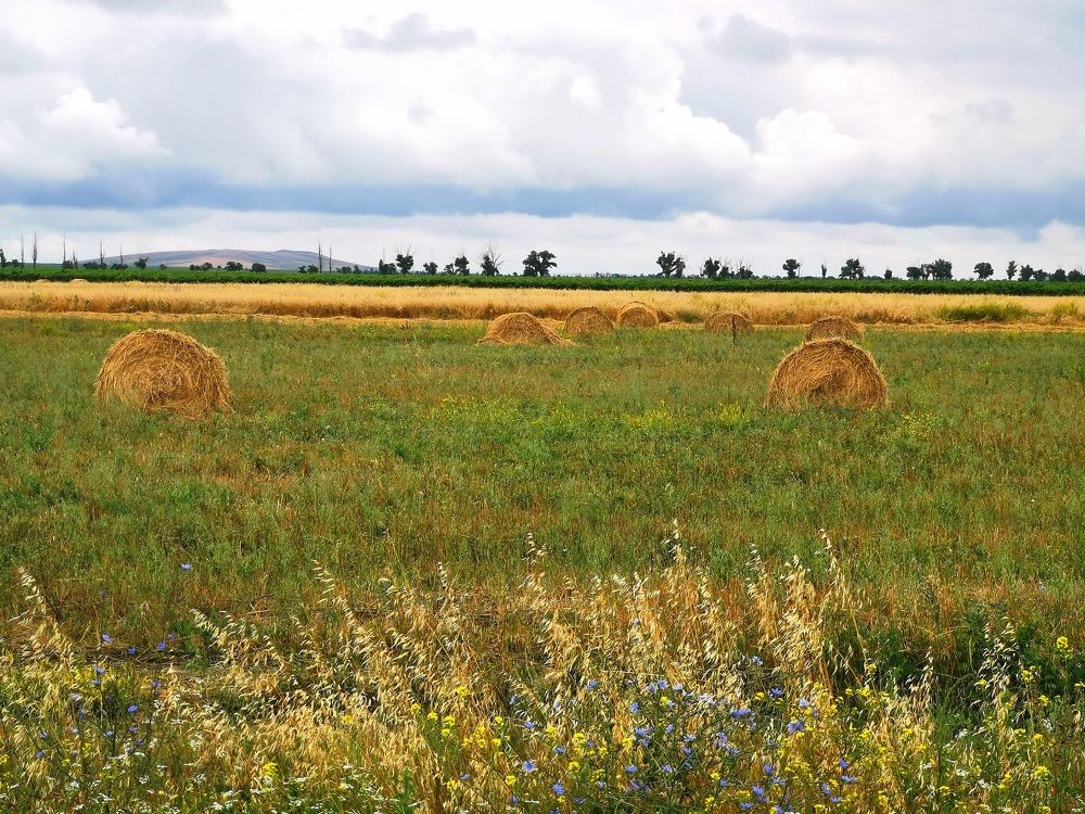 Photograph by Анастасия Бреева