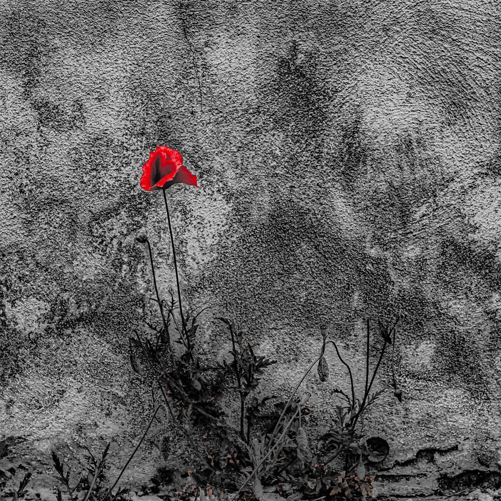 Photograph by Rustu Erata