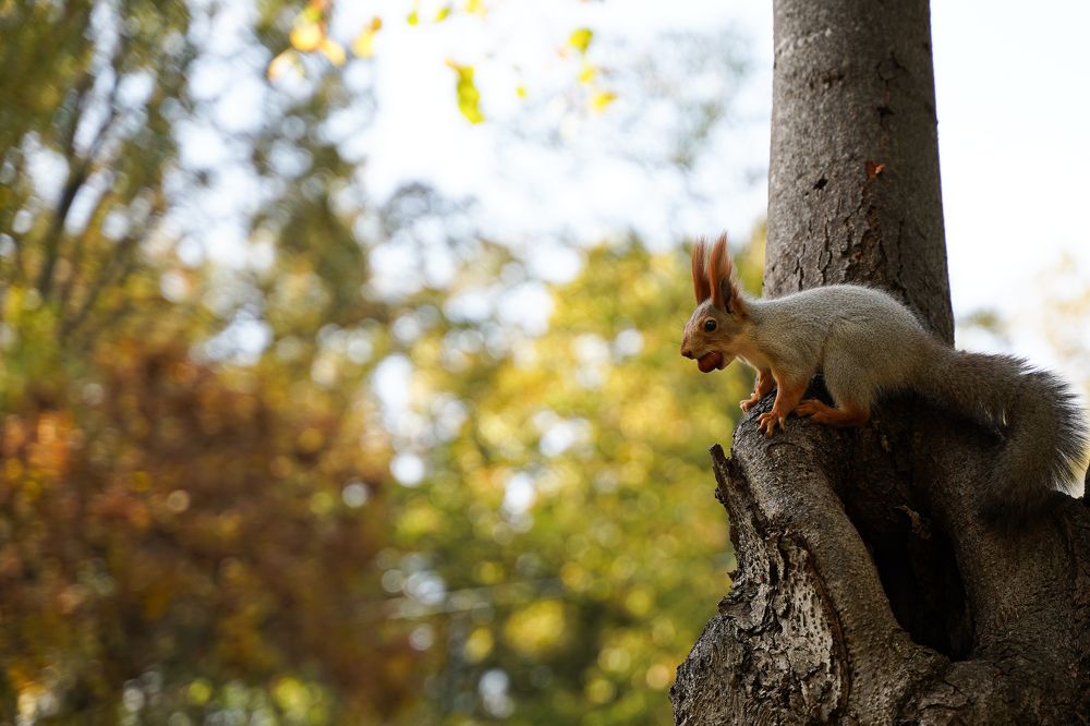 Photograph by Надежда Бехер