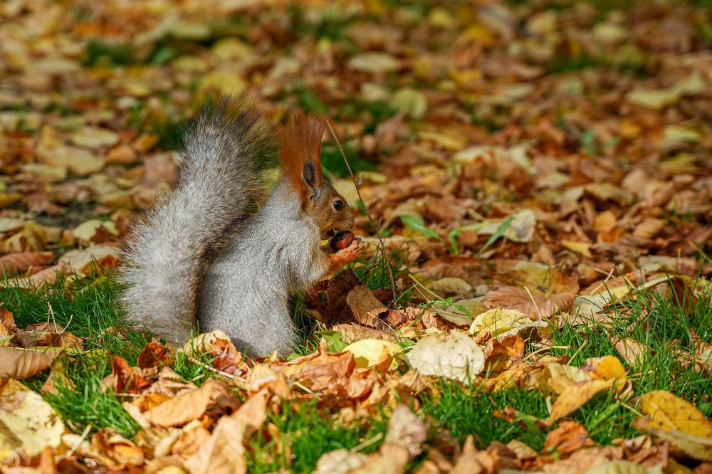 Photograph by Надежда Бехер